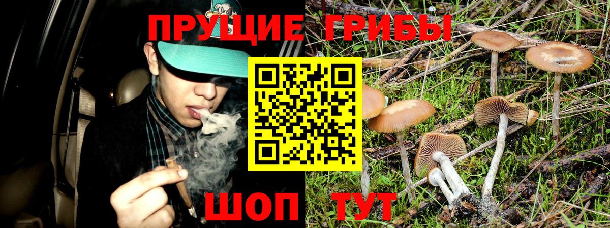 Псилоцибиновые грибы MAGIC MUSHROOMS Жуковский